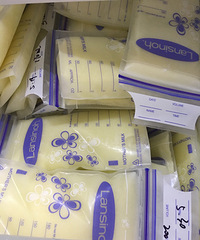 �������ĸ��