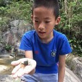 找到了搬螃蟹的好地方
