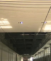 ɳƺվվ̨Ưˣͨɳƺӻ