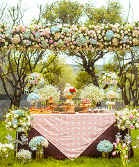 ����С����Ψ���Ļ��񣬻��Ѿ�Ȼ����1��飿��