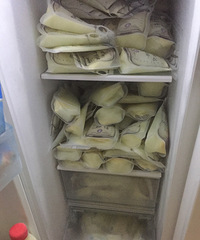 �������ˣ��������µ�����