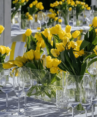 ԭ�����������񱳺������ô������ܡ���