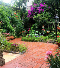 不花钱、不费力,围观抠门懒人如何打造美园!