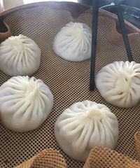 大连——匆匆忙忙,有些遗憾是给重游一个理由