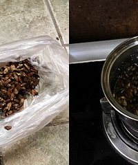 亲测用效的鼻炎方子,对娃儿很有效