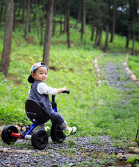 ���������Ż��㣬ӵ������Ȼ������ľ���»�԰