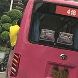 坐公车看到惊险一幕