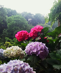 3平方迷你小天地,没有阳台也能打造“花园”