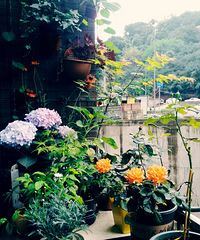 3平方迷你小天地,没有阳台也能打造“花园”