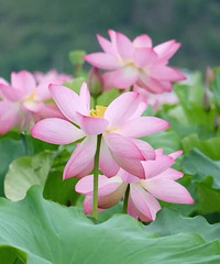 7 ߺ˫4/5 218000Էѣ