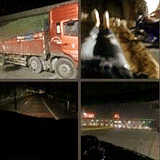 他约顺风车来了辆货车