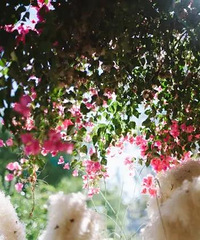 ��ƺ����ױ��ᡢ��⣬�����ֶӣ�����Ҫ�Ļ���Ԫ�ض����ˣ�