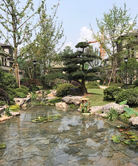 ��ƾ������������Ĵ�����������û���ţ���ǰ���ȥ������