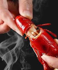 ĳСϺƷգСϺ23.5Ԫ/