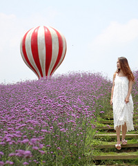 7月黔北,雨季看花靠运气,假装当回小仙女儿~