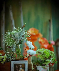 ��ʵ�õĻ����յĹ��ԣ�����ղذɣ�