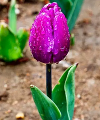 �����У������������Ļ���ʲô������Щ����Ԣ����֪����