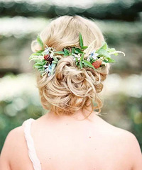 �ɻ��Ƽ�����Щ��԰�������෢