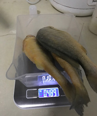 ĺʺܻ㣬ϺQ𣬺ջƻζҲ