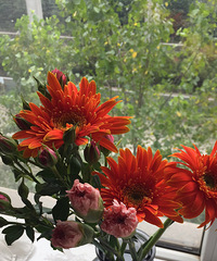 �����ʻ�Խ��Խ�����ף��е㲻���ĵĸо�