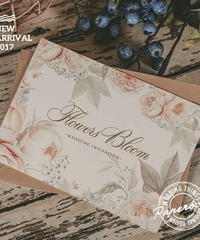 ʷȫ2.0Աÿ100۸񣩡