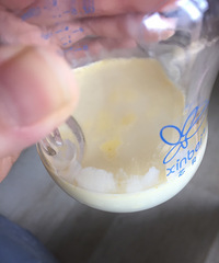 �������������ܷŶ��