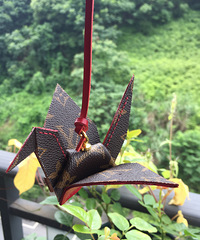 ϸ����Щ��������Ƥ�ߺ�С����