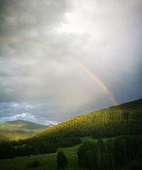 2017ԼΡһʫԶ½9ջԼμ