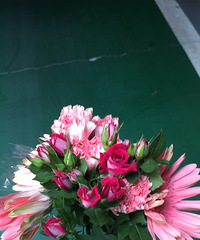 ��û�������flower plus�����𣿻�����