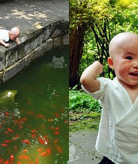华岩寺里的小沙弥,回头率超高