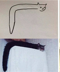 被小学生画的猫刷屏了,好传神