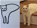 小学生画的这组猫火了