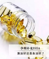 孕期DHA的全方位对比