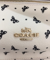 ��һ����coach�İ�������ľ�к��ĵ���Ů���Ҽ���һ�����