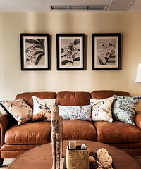 ����ĸһ����ܰ����ʽ�ҡ�2017ϲ������Ҵ�����