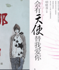 这20几本小说可以说是我的青春