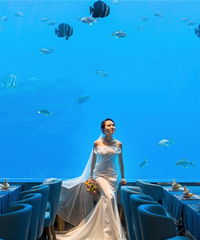 ҾȻ޸Һġáɫ󺣵Ĵ˵