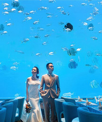 �Ҿ�Ȼ�޸������Һ���ġ����á�����ɫ�󺣵Ĵ�˵��