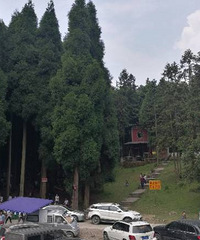【快乐暑假】我们没去万盛、仙女山、利川~我们来丰都避暑滴~