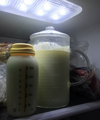 �̱��࣡��ţ������