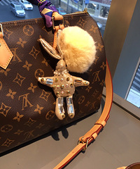 ˵˵LV speedy25/30ɶǮ