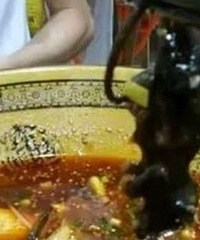 冒菜快吃完吃出一整只老鼠