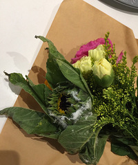 ����������򲻵ã���Ȼ�����˷�ù�����տ�����