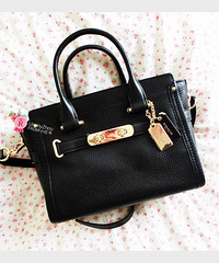 �������1�����Ԥ�����������3��Coach�أ�����1��LV��