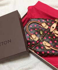 ����LV speedy�����ӽ���һ�£������õ�ʱ��������ô���ɵģ�