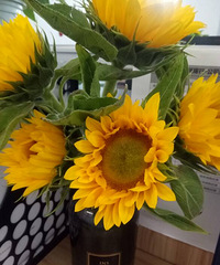 ����������ɹɹ��ÿ���յ��Ļ���