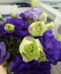 ����������ɹɹ��ÿ���յ��Ļ���