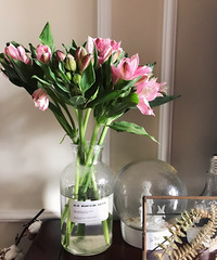 ��¼���������Щ����������õ�������˸ɻ�����ֵҲ�ܸ�