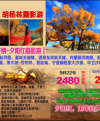 ɡ13308357008΢ͬţоϲ