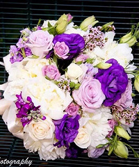 ���������ѡ��һ�󲨳�������������Ϯ�������޵�����